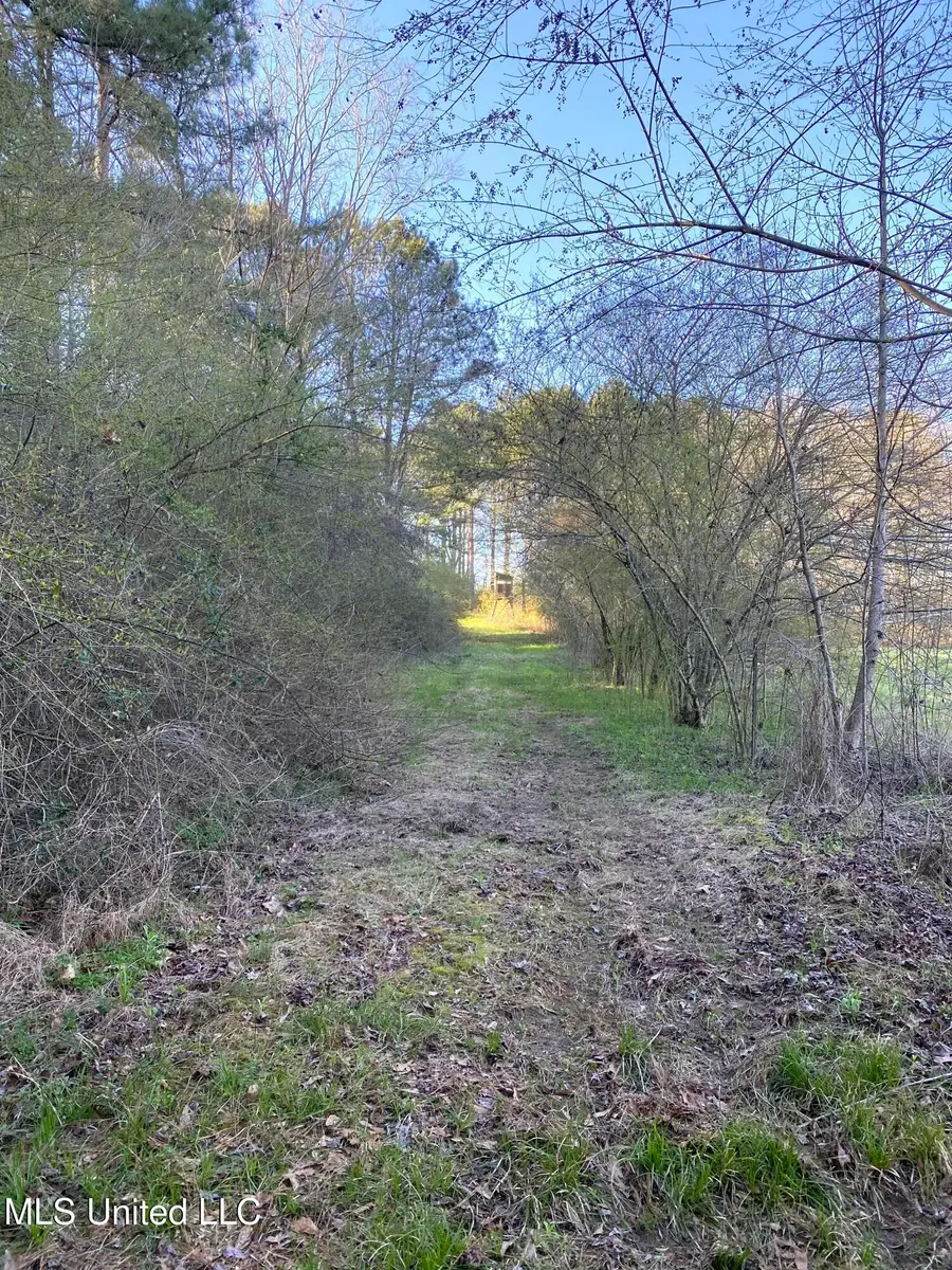 492 Highway, Conehatta, MS 39057 - Image #2