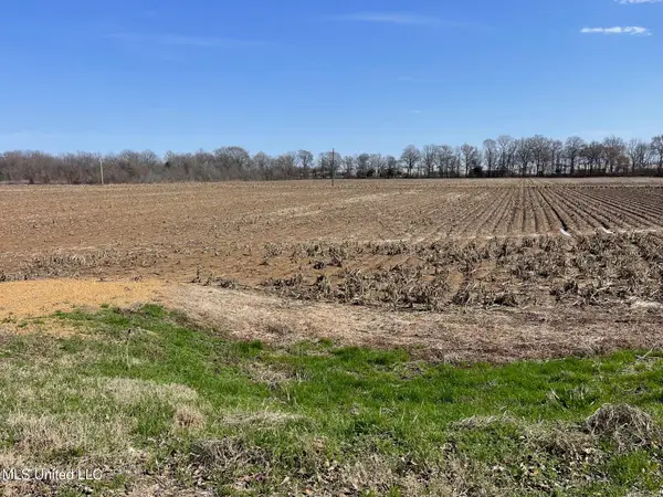 County Rd 540, Sidon, MS 38954