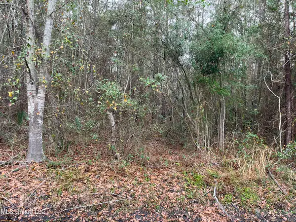 8th Street, Bay Saint Louis, MS 39520