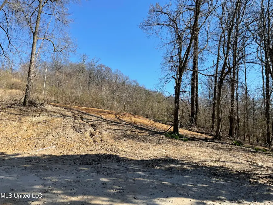 15944 Brownsferry Rd Road, Sarah, MS 38665 - Image #3