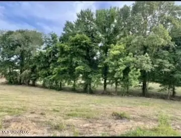 16 Garden Road, Southaven, MS 38672