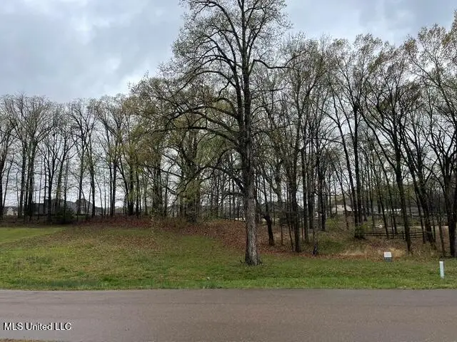 16 Garden Road, Southaven, MS 38672 - Image #2