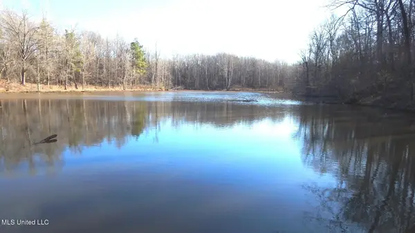 4577 Bluff Road, Hernando, MS 38632