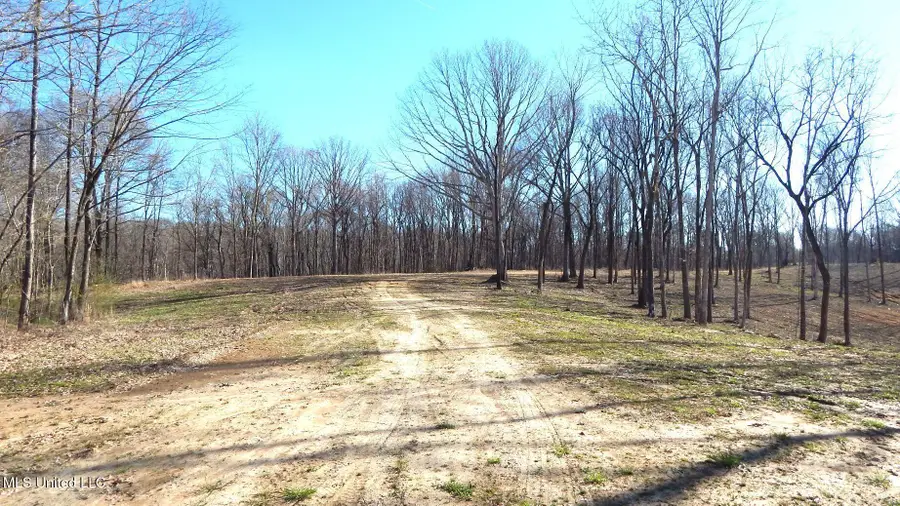 4577 Bluff Road, Hernando, MS 38632 - Image #3