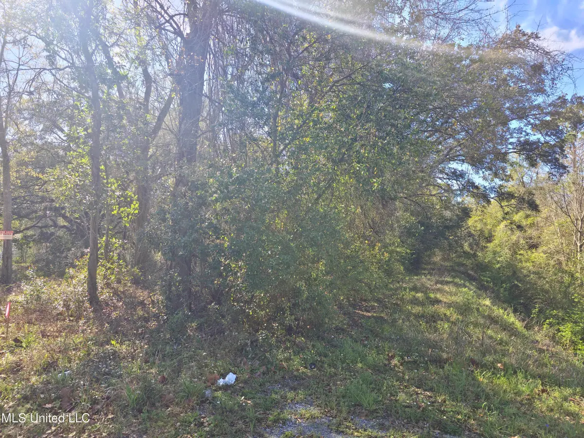 31st Street, Gulfport, MS 39507 - Image #1