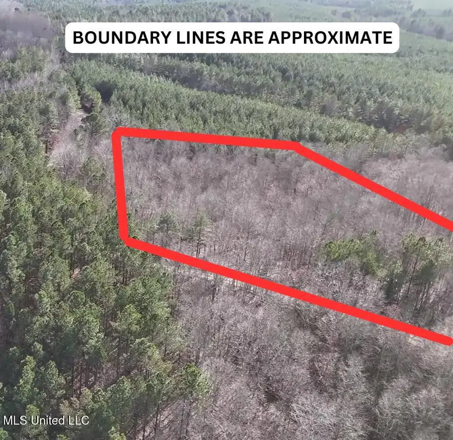 Cr 414, Falkner, MS 38629 - Image #2