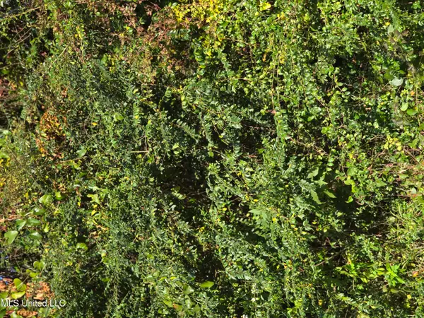 King Road, Helena, MS 39567