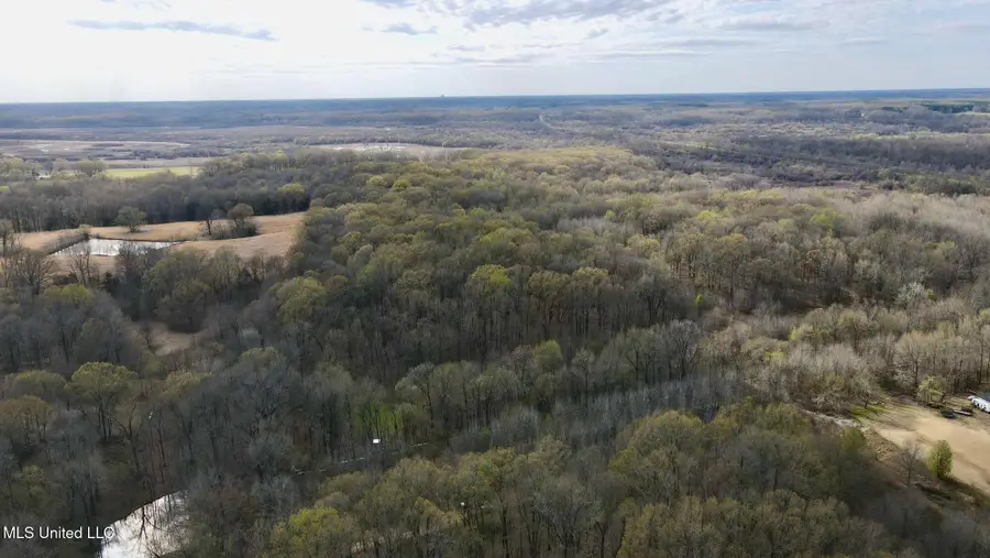 S Fogg Road, Hernando, MS 38632 - #3