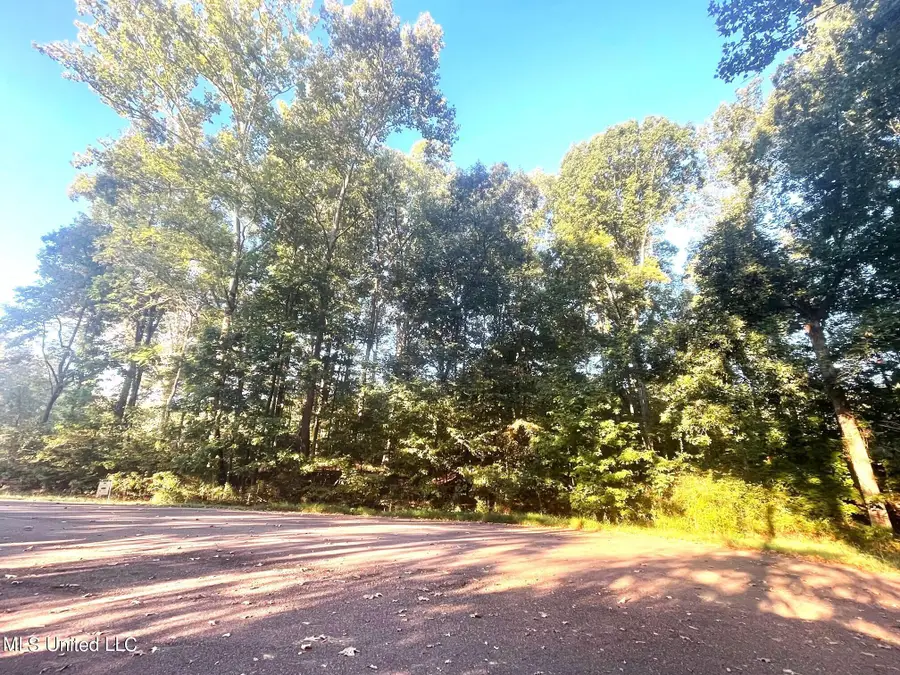 2581 Plank Road, Hernando, MS 38632 - Image #2