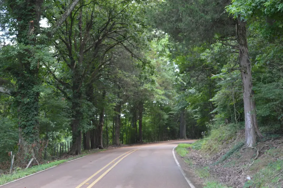 2581 Plank Road, Hernando, MS 38632 - Image #3