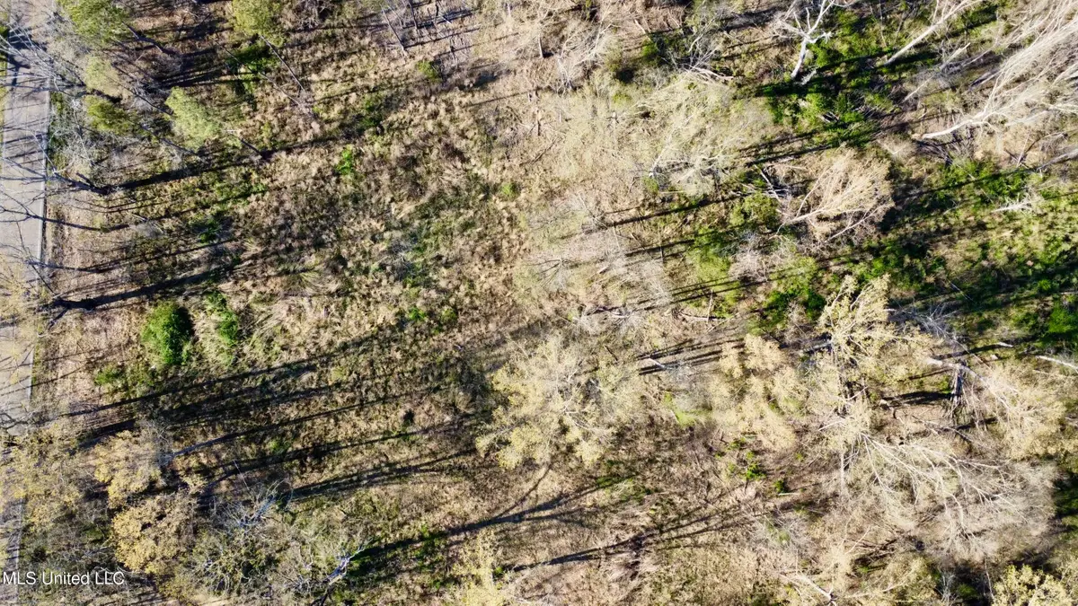 5370 Clinton-tinnin Road, Jackson, MS 39209 - Image #1