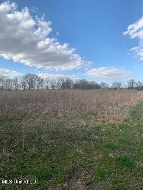 7998 Vaiden Road, Hernando, MS 38632 - Image #1