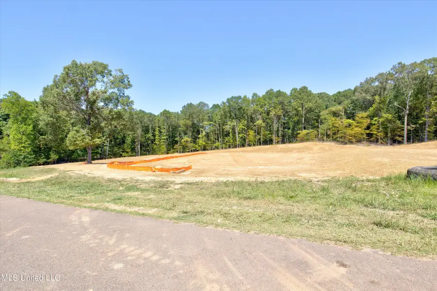 2644 Plank Road, Hernando, MS 38632 - Image #3