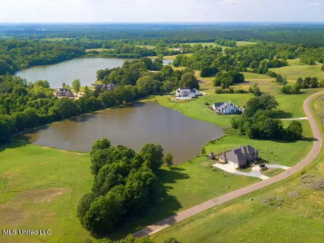 Chestnut Hill Road, Flora, MS 39071 - #2