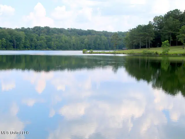 Chestnut Hill Road, Flora, MS 39071 - #3