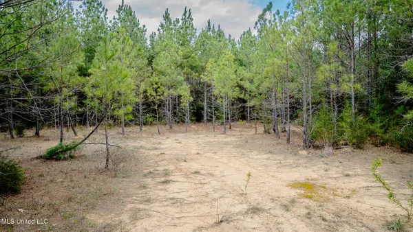 0000 Elijah Graham Road, Noxapater, MS 39346