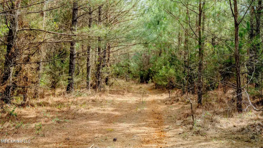 0000 Elijah Graham Road, Noxapater, MS 39346 - Image #2