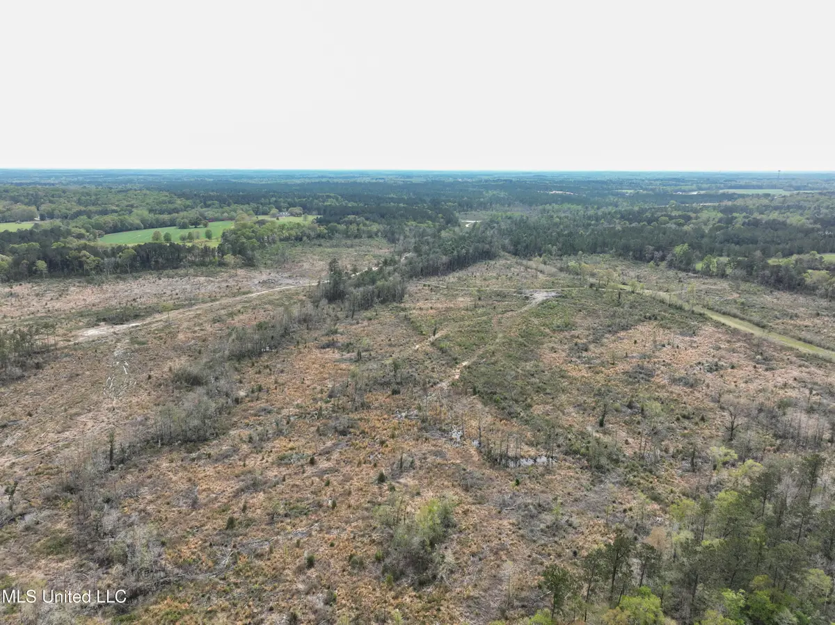 Highway 53, Perkinston, MS 39573 - Image #1