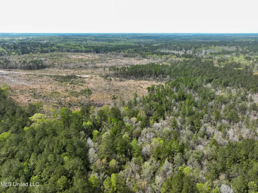 Highway 53, Perkinston, MS 39573 - Image #3