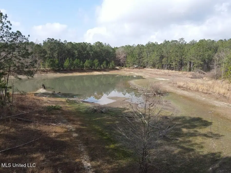 Woodson Lane, Poplarville, MS 39470 - Image #3