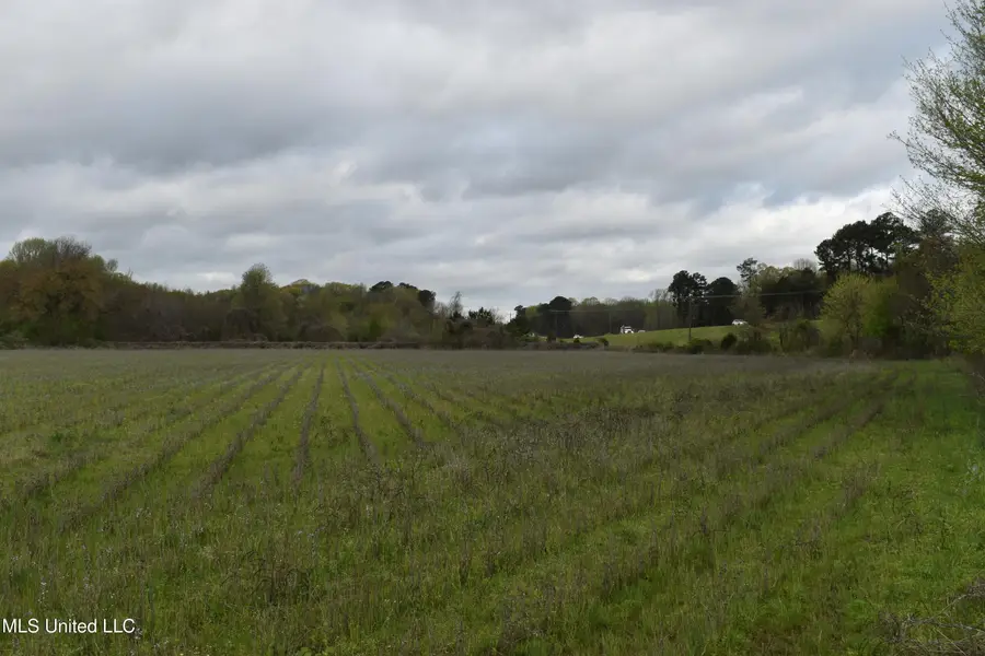 0 Hwy 278, Batesville, MS 38606 - Image #3