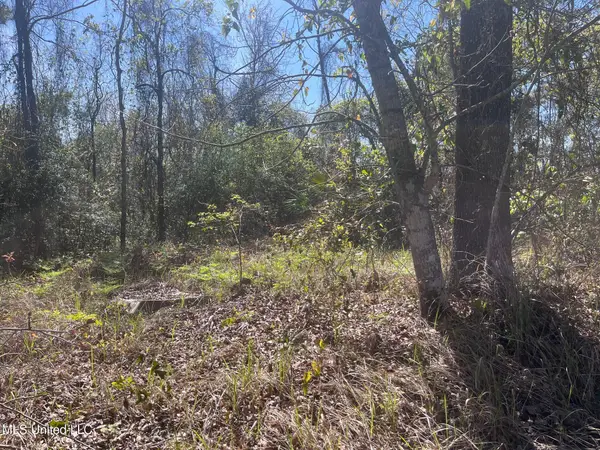 Lot 19 Seacliff Boulevard, Ocean Springs, MS 39564