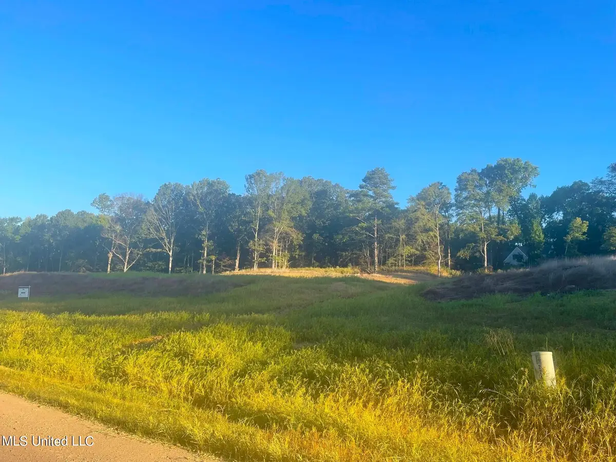 2742 Plank Road, Hernando, MS 38632 - Image #1