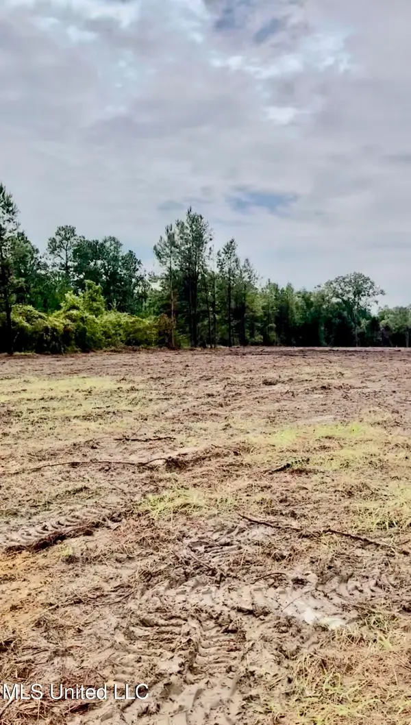 Hwy 613, Lucedale, MS 39452