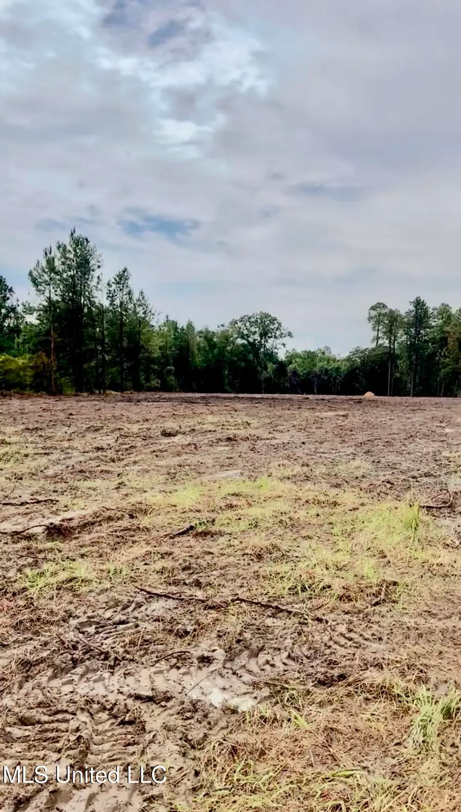 Hwy 613, Lucedale, MS 39452 - Image #2