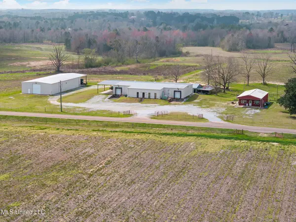 300 Acres +/- Hwy 532, Mount Olive, MS 39119