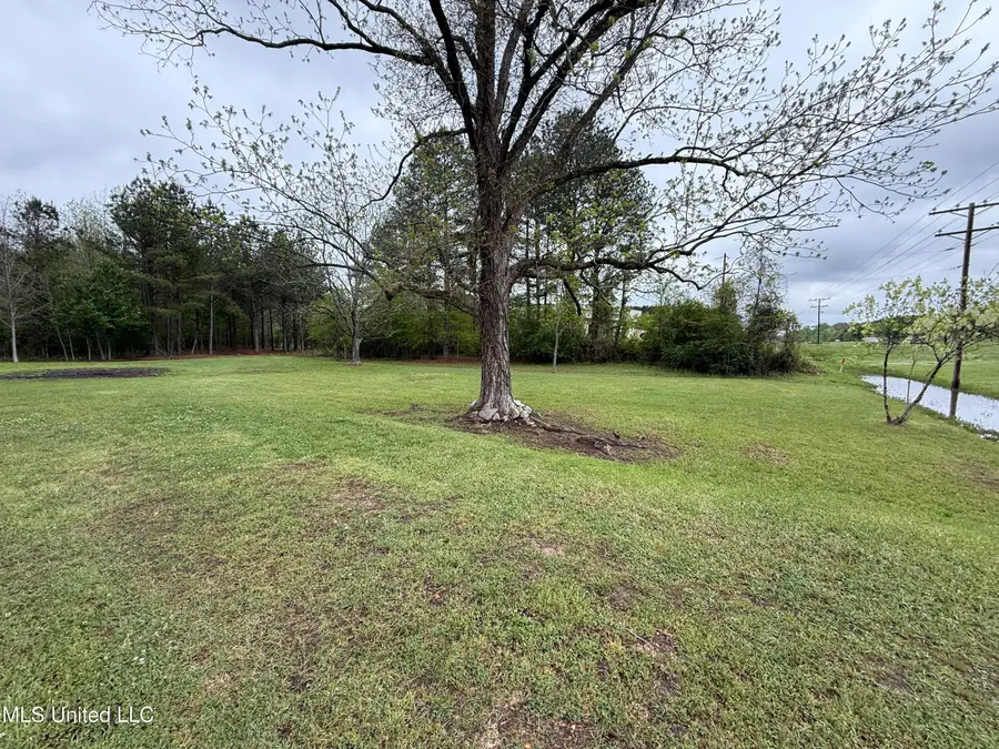 1102 Highway 35, Carthage, MS 39051 - Image #2