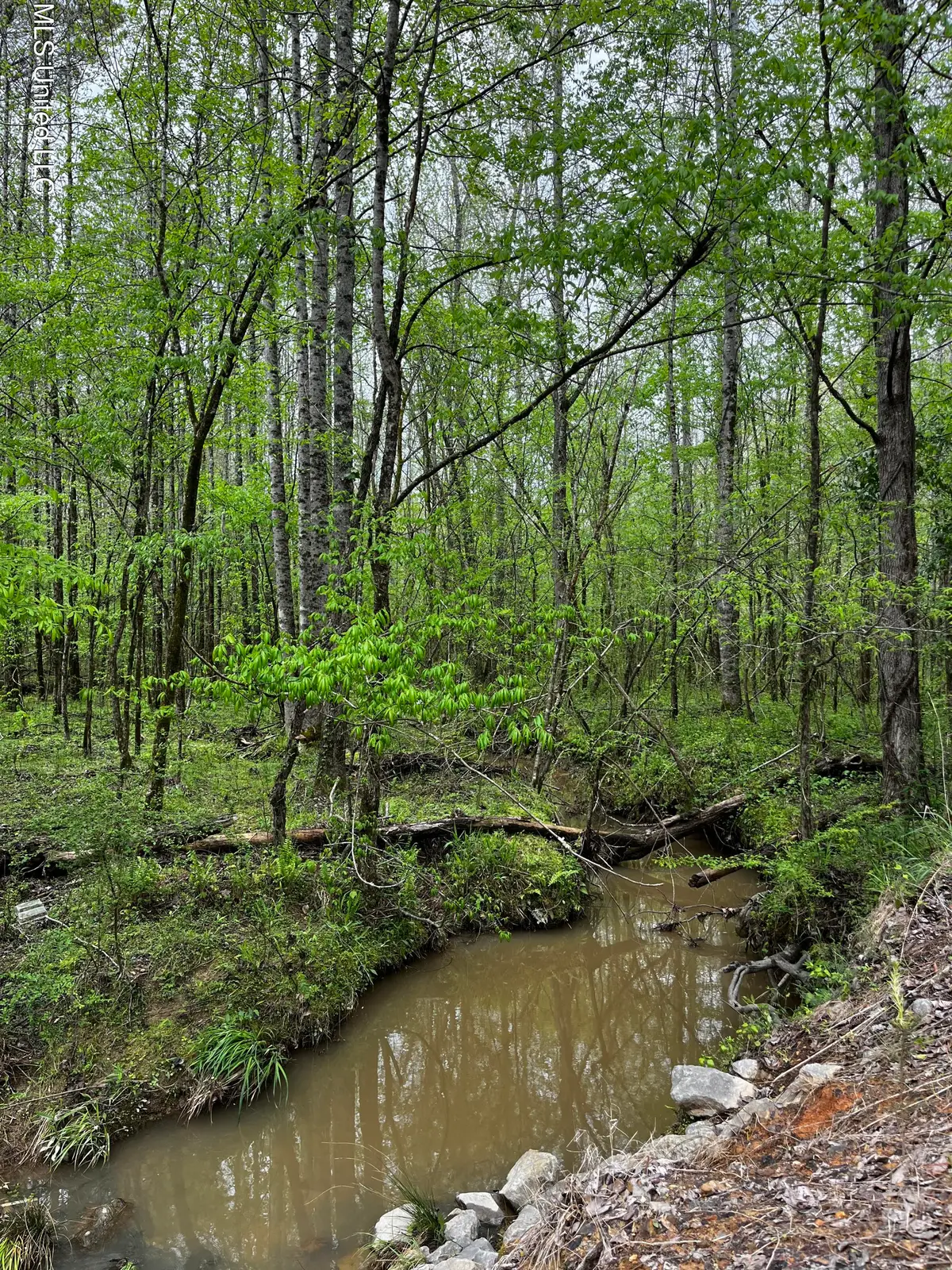 990 Conley, Grenada, MS 38901 - Image #1