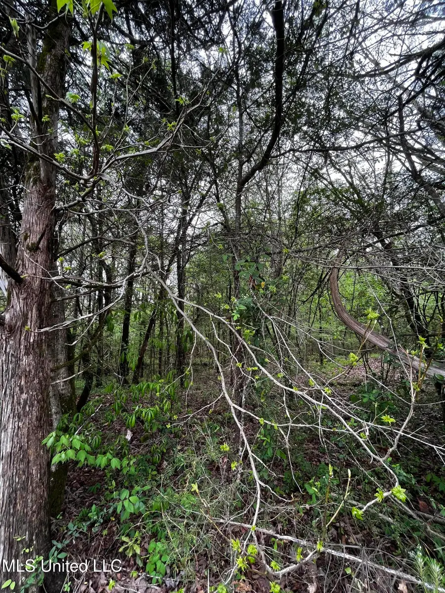 990 Conley, Grenada, MS 38901 - Image #2