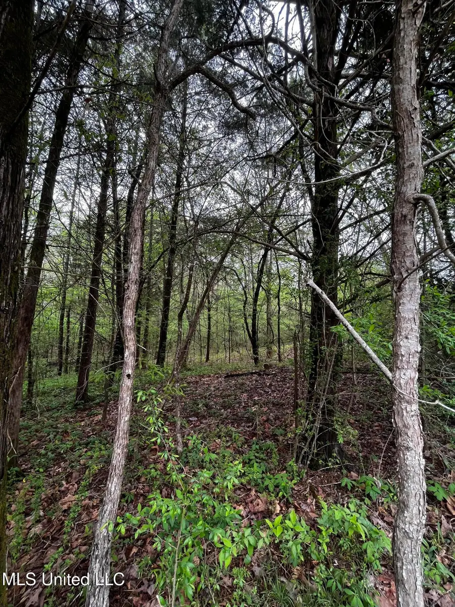 990 Conley, Grenada, MS 38901 - Image #3