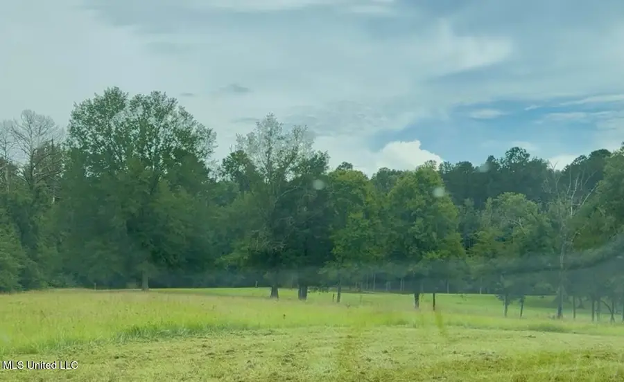 Us-51, Crystal Springs, MS 39059 - Image #3