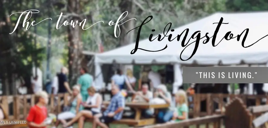 0 Cane Creek Road, Flora, MS 39071 - #2