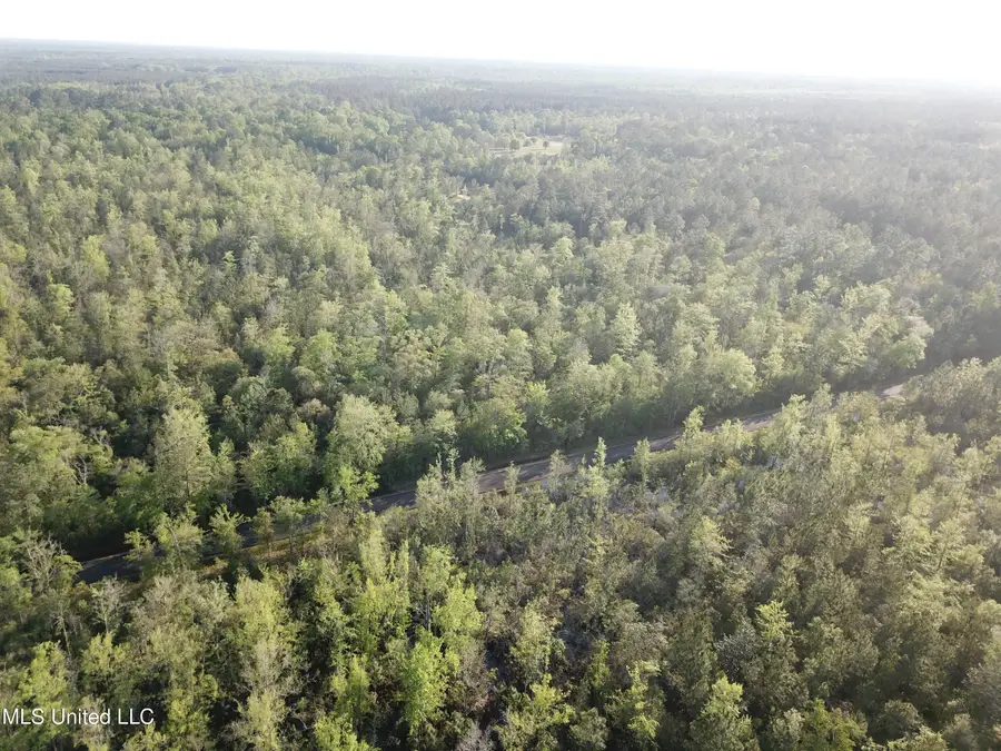 Walter Havard Road, Lucedale, MS 39452 - Image #2