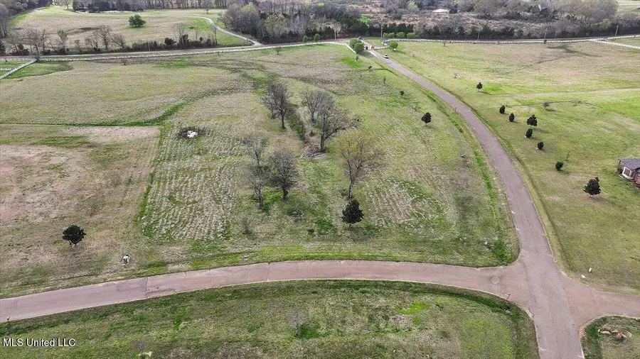 0 Lovorn Court, Flora, MS 39071 - #2