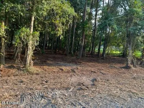 0 Ocean Springs Road, Ocean Springs, MS 39564 - Image #3