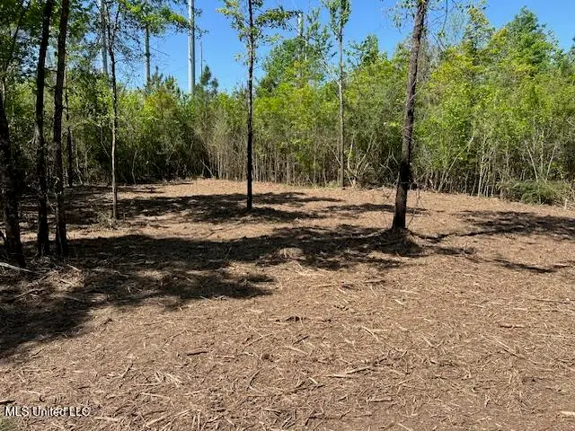 Matthews, Tylertown, MS 39667 - Image #3