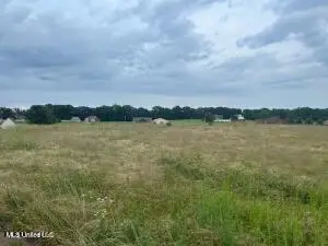 2836 Oak Grove Cove, Hernando, MS 38632 - Image #1