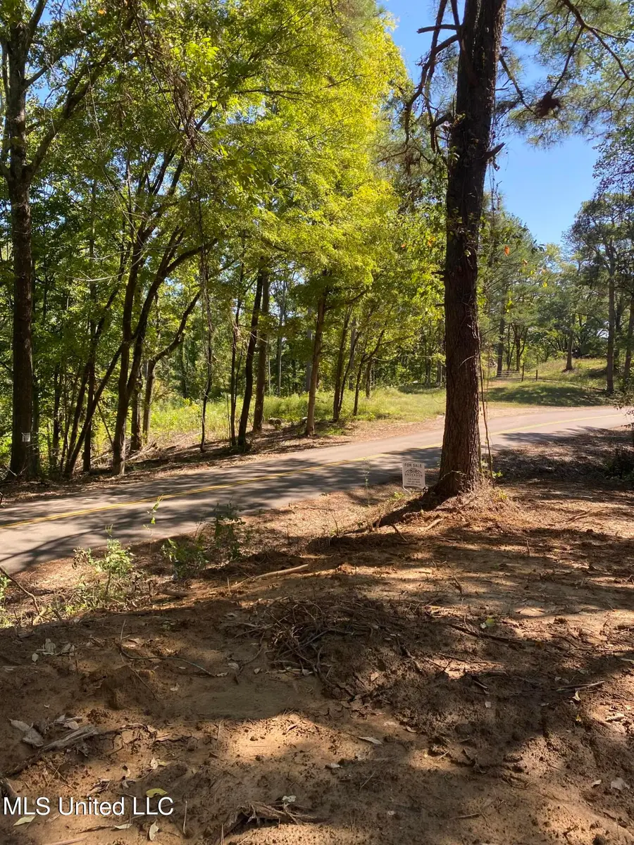 O Bluff Road, Coldwater, MS 38618 - Image #3