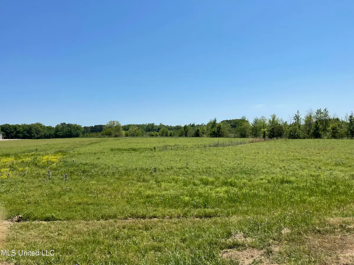 811 Ms-16, Carthage, MS 39051 - Image #1