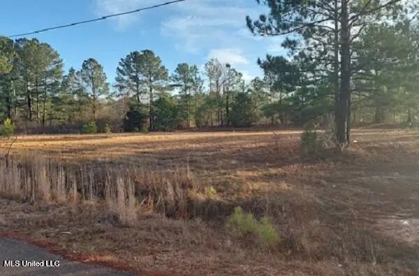 01 Chenoa Avenue, Carthage, MS 39051 - Image #2