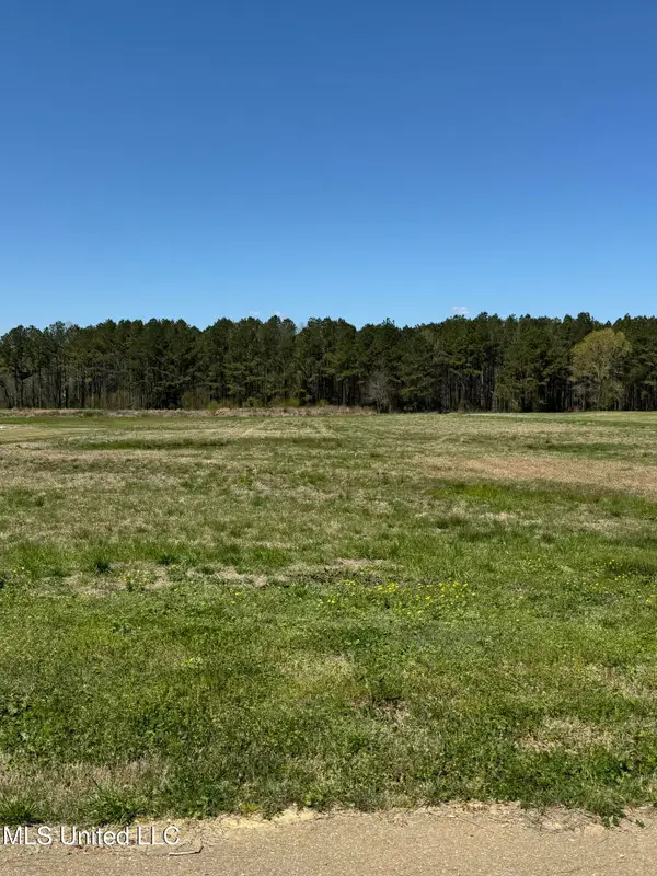 Clark Stables Rd Road, Brandon, MS 39047
