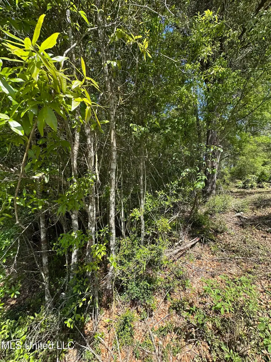 Kale Place, Diamondhead, MS 39525 - Image #3