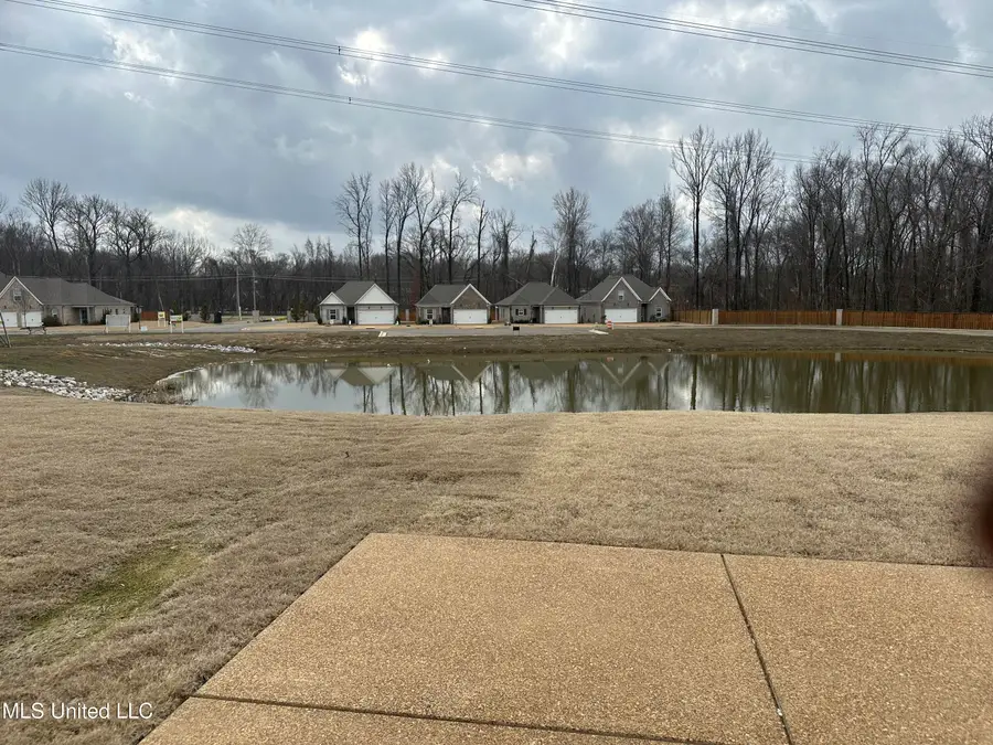 327 Flower Garden Drive, Southaven, MS 38671 - #3