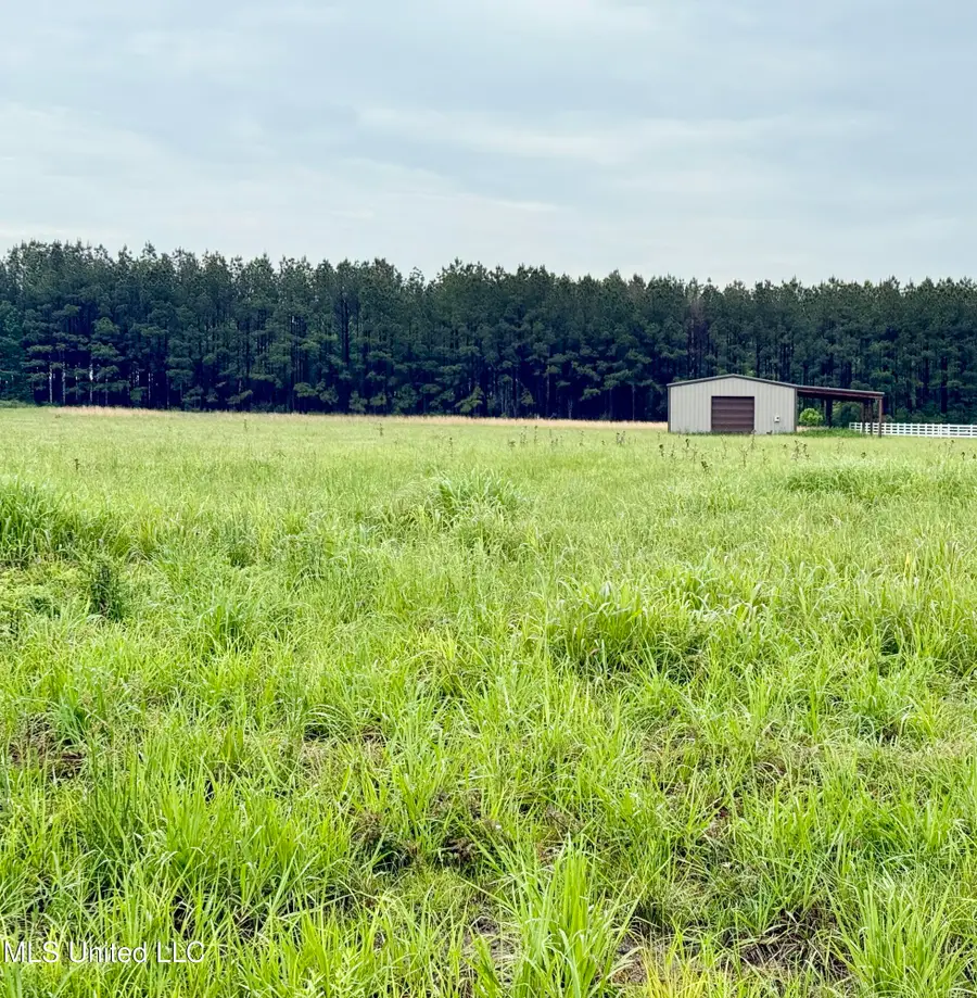 10776 Paesano Point Point, Saint Francisville, LA 70775 - Image #2