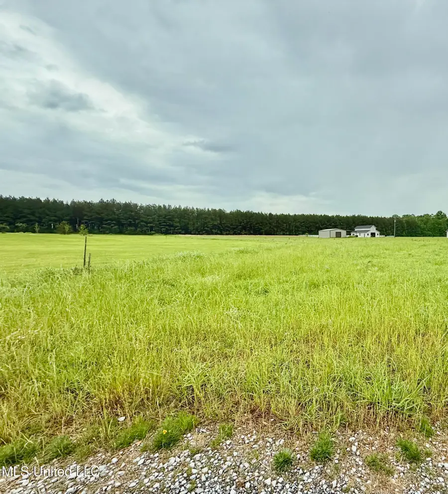 10776 Paesano Point Point, Saint Francisville, LA 70775 - Image #3