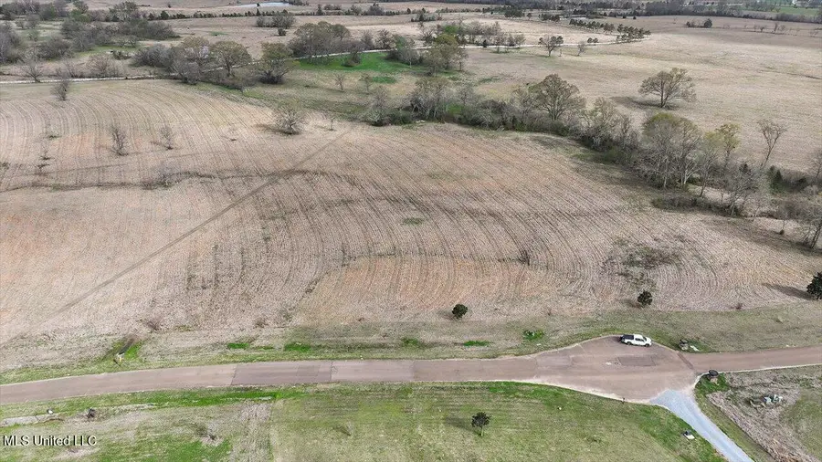 0 Andover Drive, Flora, MS 39071 - #2